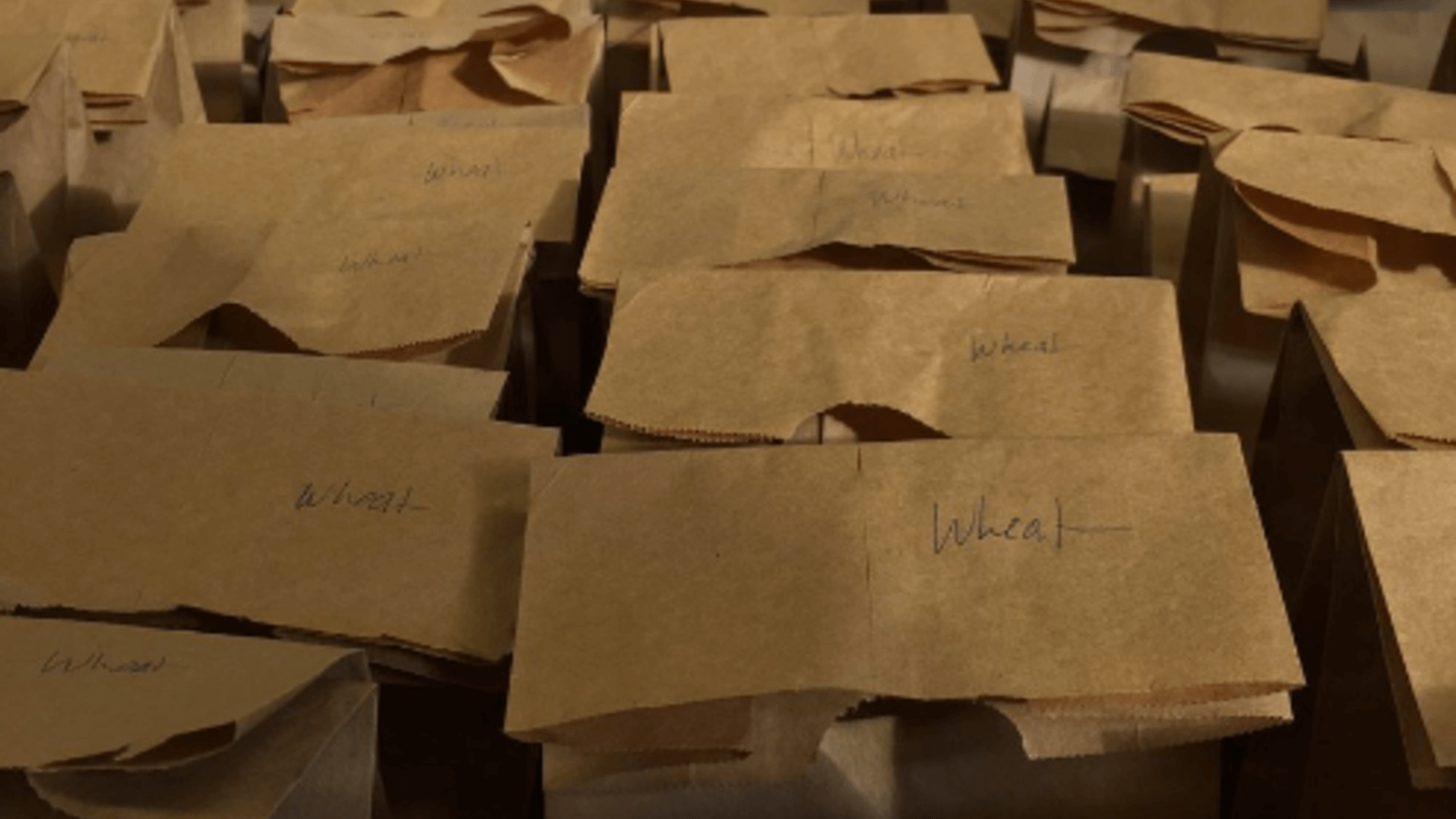 Image of packed lunches